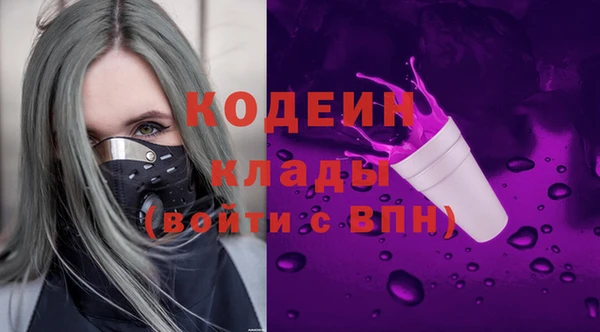 амф Новозыбков