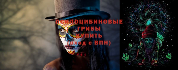 ПСИЛОЦИБИНОВЫЕ ГРИБЫ Новокубанск