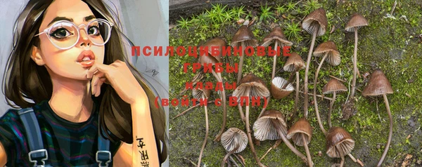 амф Новодвинск