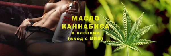 амф Новозыбков