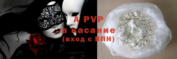амф Новодвинск