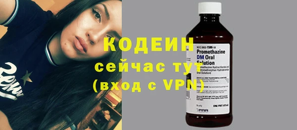 амф Новодвинск