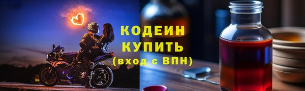 амф Новозыбков