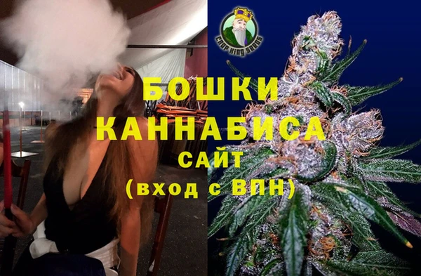 амф Новозыбков