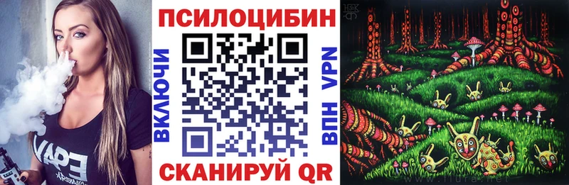 Купить закладки Шадринск Галлюциногенные грибы Cubensis