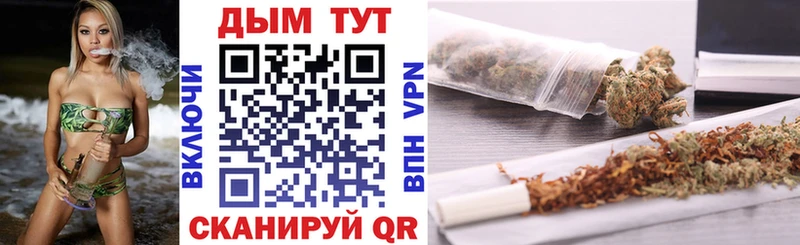Купить закладки  Шадринск  Бошки Шишки сатива 